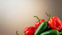 Fresh red and green chili peppers with water droplets on neutral background for culinary cooking spice heat ingredient food photography design.