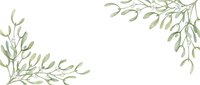 Delicate mistletoe branches with small leaves and berries arranged in corners on white background, suitable for holiday designs and seasonal decorations.