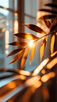 Golden sunlight filters through delicate foliage, creating warm amber tones and soft shadows on a blurred background, perfect for nature and botanical design projects.