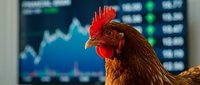 Red rooster with stock market chart display in background, symbolizing market growth, financial analysis, and business investment trends for trading concepts.