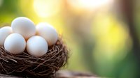 Fresh white eggs in natural brown twigs nest against soft green and yellow bokeh background, selective focus creates dreamy spring atmosphere.