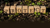 Wooden letter blocks spelling PROTECT on fertile soil with green seedlings, symbolizing environmental conservation and nature preservation efforts.