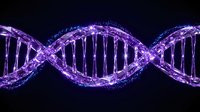 Glowing purple DNA double helix structure with illuminated strands on dark background, suitable for genetics, science, medical, and biotechnology educational and research applications.
