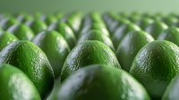 Fresh green limes arranged in rows showing textured peel and natural shadows, creating depth and pattern for food and beverage industry use.