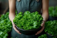 Fresh curly kale in black bowl held by farmer in denim apron, organic vegetable harvest for cooking and healthy nutrition.