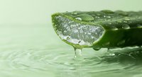 Fresh aloe vera leaf with water droplets dripping into rippling water surface, natural skincare and wellness concept for spa treatments.
