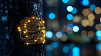 Glowing circuit pattern on tree bark with illuminated nodes against blurred bokeh lights background creates magical forest atmosphere at night.