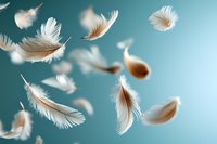 Soft white and brown feathers floating gracefully through serene blue sky creating peaceful dreamy atmosphere for wellness meditation and spiritual concepts.