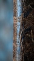 Close-up macro shot of brown leather texture showing natural grain patterns and stitching details for fashion and craftsmanship projects.