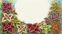 Colorful foliage border frame with vibrant red, pink, yellow, and green leaves arranged on cream background, suitable for invitations, cards, and design projects.