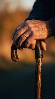 Elderly hands gripping wooden walking stick in warm golden light showcasing aging, wisdom and life experience with weathered skin texture.