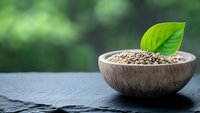 Raw hemp seeds in wooden bowl with fresh green cannabis leaf on black stone surface against blurred natural background for healthy eating concept.