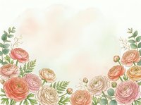 Watercolor ranunculus flowers frame with soft pink and peach blooms, green leaves on pastel background for wedding invitations and romantic designs.
