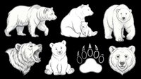 Set of hand-drawn bear sketches isolated on transparent background, including polar bears, cubs, paw print, and portrait, ready for t-shirts, stickers, and print on demand.