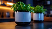 Fresh basil plants growing in modern white and black self-watering planters on wooden surface with warm ambient lighting creating cozy kitchen atmosphere.