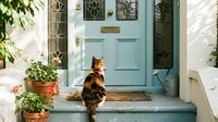Calico cat sitting on doorstep of charming home with turquoise door and potted plants creating welcoming entrance scene for pet and lifestyle content.