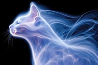 Luminous cat silhouette with flowing energy trails and glowing outline on black background for digital art and fantasy design projects.