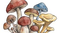 Watercolor illustration of various mushroom species in red, brown, and golden yellow tones, isolated on white background, suitable for botanical prints, educational materials, and design projects.