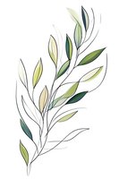 Minimalist botanical line art featuring delicate green leaves on graceful branches with subtle watercolor effects. Isolated on white background for design projects.