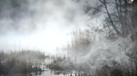 Misty winter landscape with bare trees and fog creating atmospheric mood for nature photography and seasonal content.