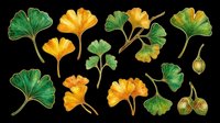 Ginkgo biloba leaves and seeds isolated on transparent background, ready for t-shirt design, clipart, stickers, sublimation, print-on-demand products and digital crafts.