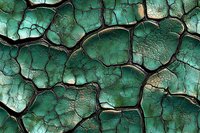 Cracked earth pattern in emerald green tones showing drought-affected soil texture with deep fissures and geometric shapes, abstract natural background.