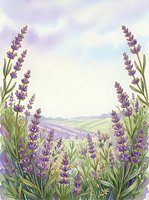 Watercolor lavender field landscape with purple flowers framing pastoral countryside view under soft cloudy sky for botanical and nature designs.