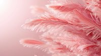 Delicate coral pink feathers create soft textural background with gentle movement and ethereal quality, suitable for feminine designs and romantic compositions.
