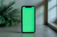 Modern smartphone with bright green screen display on gray surface near window, soft natural lighting and palm plant in background creates minimal setup.