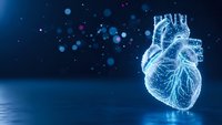 Digital holographic human heart anatomy with glowing blue wireframe structure on dark background with bokeh lights for medical technology presentations.