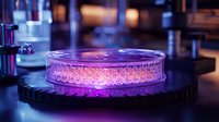 Glowing petri dish with bacterial culture illuminated by purple light in modern laboratory setting, showcasing scientific research and microbiological experimentation.