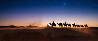Camel caravan silhouette crossing desert dunes at twilight with starry sky. Traditional nomadic travel and adventure concept for tourism marketing.