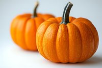 Fresh orange pumpkins on white background with selective focus, natural autumn decoration for seasonal holiday and harvest celebration.