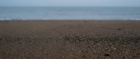 Empty sandy beach with shallow focus on textured sand in foreground, calm sea and overcast sky in background, suitable for travel and nature content.