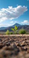 Young green seedling growing from dry soil against mountain landscape and blue sky with white clouds. Environmental concept of new life and hope.
