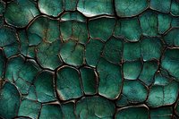 Cracked emerald green paint surface with dark crevices creating abstract geometric pattern. Weathered texture shows deep fissures and aged patina effect.