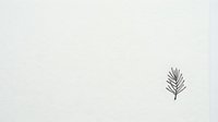 Minimalist botanical line drawing of a single feathery leaf or fern frond isolated on white background, suitable for design projects, branding, and decorative applications.