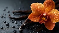 Orange orchid flower with water drops on dark background, vanilla pods and black stones. Spa wellness concept with dramatic lighting and macro photography.