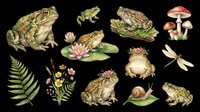 Frogs, toads, mushrooms, water lilies, ferns, flowers, snail, and dragonfly isolated on transparent background. Ready for clipart, t-shirt design, stickers, print-on-demand, and sublimation projects.