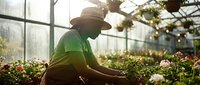 Young African American male gardener in hat tending to colorful flowering plants in bright greenhouse with warm sunlight streaming through windows.