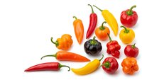 Colorful assorted hot chili peppers collection isolated on white background featuring various shapes and heat levels for culinary cooking spice ingredients.