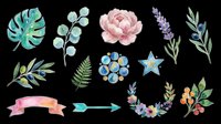 Watercolor botanical elements including monstera leaf, eucalyptus, peony flower, lavender, fern, berries, and decorative arrows isolated on transparent background. Ready for t-shirt design, clipart, stickers, sublimation, and print-on-demand projects.