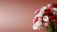 Fresh spring bouquet of red, pink and white tulips with small delicate flowers against soft pink background, copy space for seasonal greeting cards and designs.