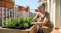 Senior Caucasian woman gardening on urban balcony, tending herbs in wooden planter box. Sustainable living, container gardening, retirement hobby concept.