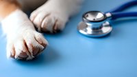 Healthcare professional wearing white medical gloves with stethoscope on blue surface for clinical examination and patient care in medical setting.