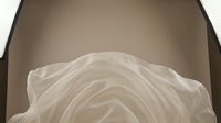 Elegant white rose close-up with soft petals and warm brown gradient background for romantic designs and floral arrangements.