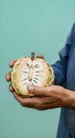 Farmer holding freshly cut soursop fruit against turquoise background, showcasing white flesh and seeds. Ideal for agriculture, tropical produce, and healthy food marketing campaigns.