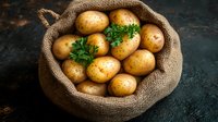 Fresh raw potatoes with parsley in rustic burlap sack on dark background. Natural organic farm vegetables for healthy cooking and food preparation.