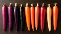 Fresh colorful rainbow carrots arranged in row on dark wooden background showing variety from purple to orange, natural organic vegetables for healthy eating.