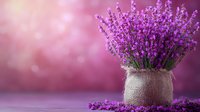 Fresh lavender bouquet in rustic burlap sack against pink bokeh background, aromatic purple flowers creating romantic atmosphere for spa, wellness or home decor.